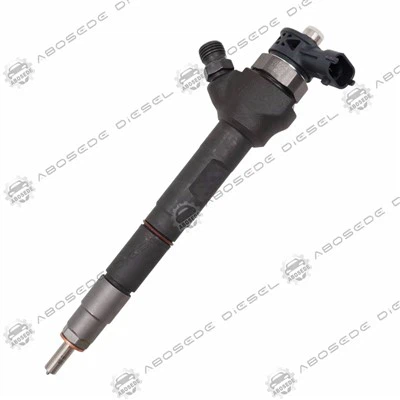 Conjunto de inyector de combustible de riel común 0445110737 1042210 Fe010 para Jac Sunray